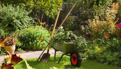 Ventajas del mantenimiento de jardines